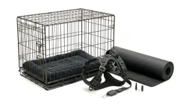 Pet travel accessories
