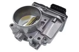 Throttle bodies