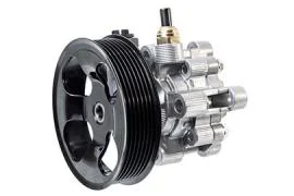 Power steering pumps