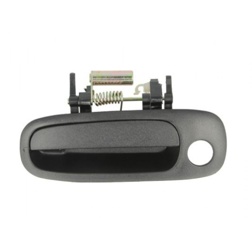 Door Handle BLIC 6010-19-030401P