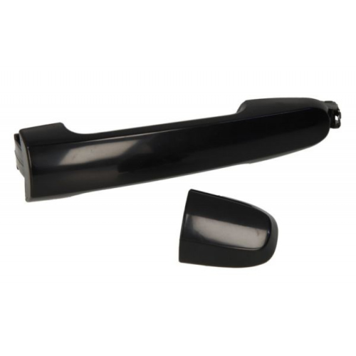 Door Handle BLIC 6010-19-059403P