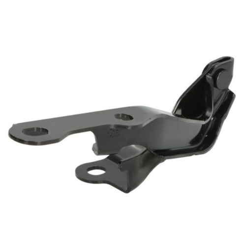 Hinge, bonnet BLIC 6802-00-8179452P
