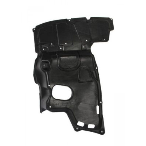 Engine Cover BLIC 6601-02-8161870P