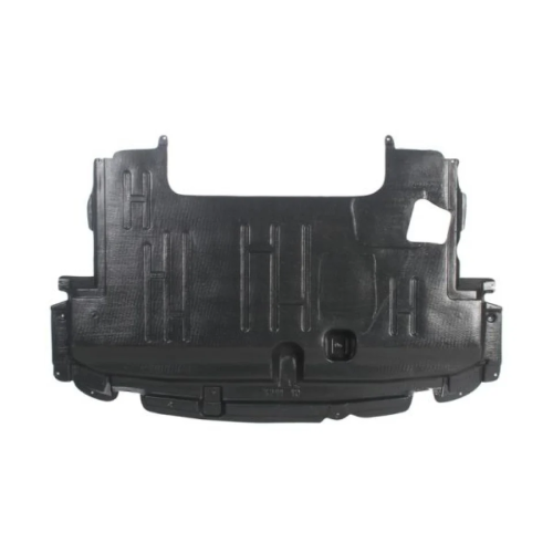 Engine Cover BLIC 6601-02-8155860P