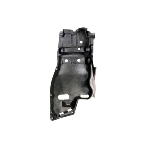 Engine Cover BLIC 6601-02-8117873P