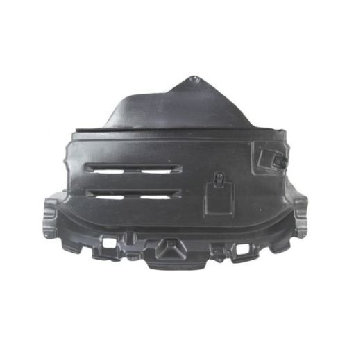 Engine Cover BLIC 6601-02-8109860P