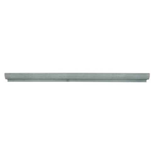 Foot Board, door sill BLIC 6505-06-8118010P