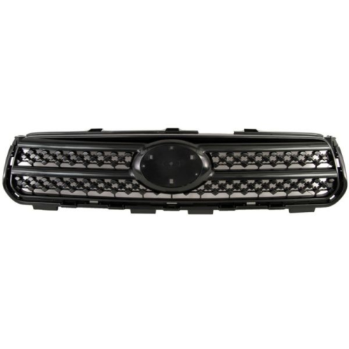 Radiator Grille BLIC 6502-07-8179990P