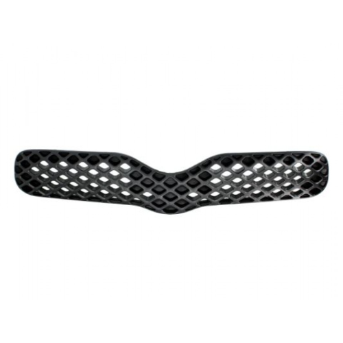 Radiator Grille BLIC 6502-07-8109990P