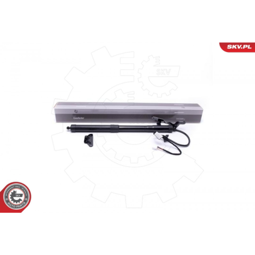 Electric Motor, tailgate ESEN SKV 52SKV938