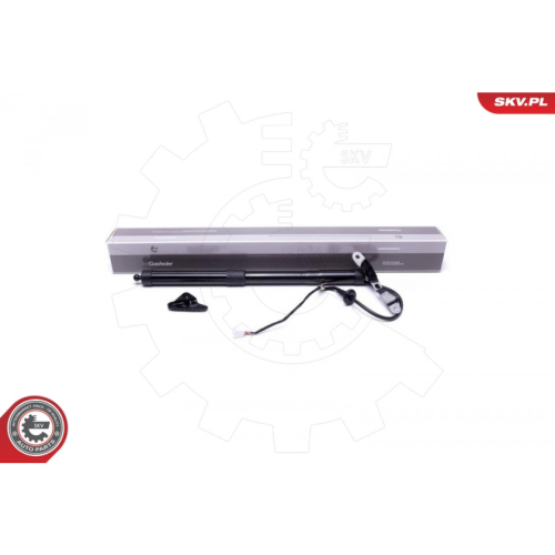 Electric Motor, tailgate ESEN SKV 52SKV937
