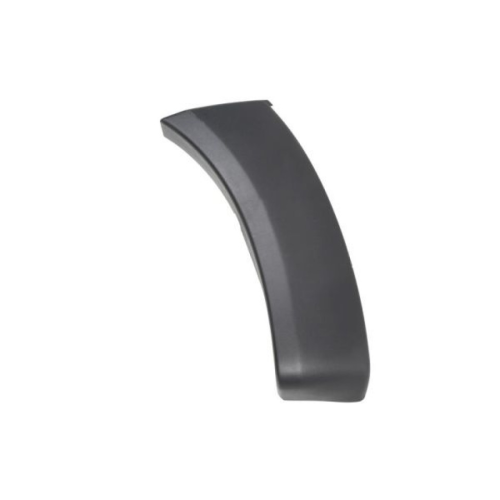 Trim/Protective Strip, wing BLIC 5703-08-8172378P