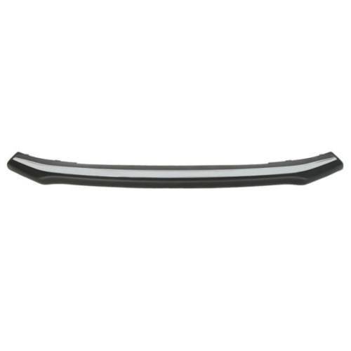 Trim/Protective Strip, bumper BLIC 5703-05-8178920P