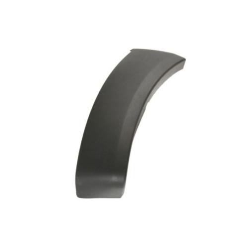 Trim/Protective Strip, wing BLIC 5703-08-8172377P