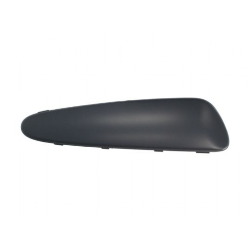 Trim/Protective Strip, bumper BLIC 5513-00-8101922P