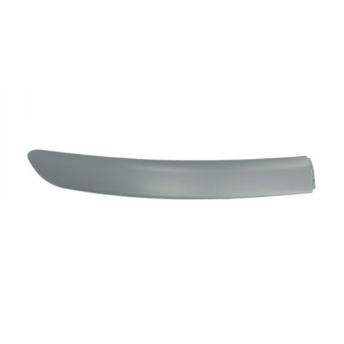 Trim/Protective Strip, bumper BLIC 6502-07-8109922P