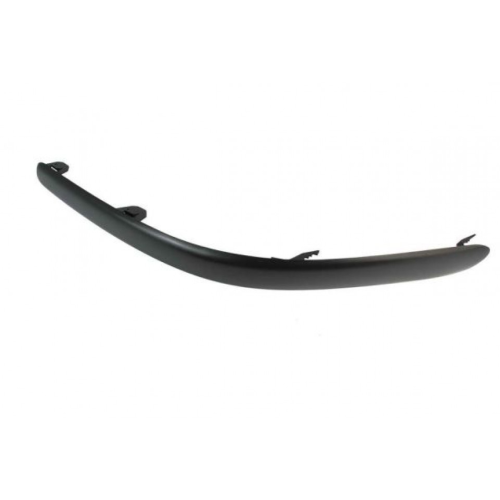 Trim/Protective Strip, bumper BLIC 5703-05-8161921P