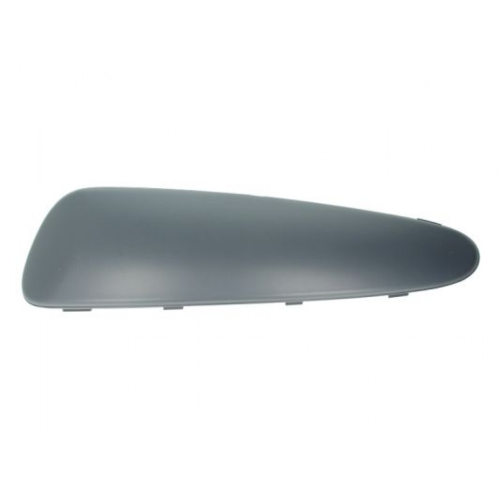 Trim/Protective Strip, bumper BLIC 5513-00-8101921P