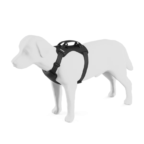 Dog car harness THULE Cappy S