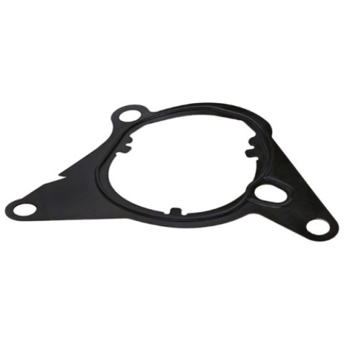 Gasket, vacuum pump ELRING 795.140