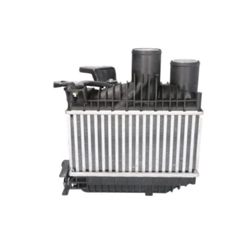 Intercooler, charger THERMOTEC DA2001TT