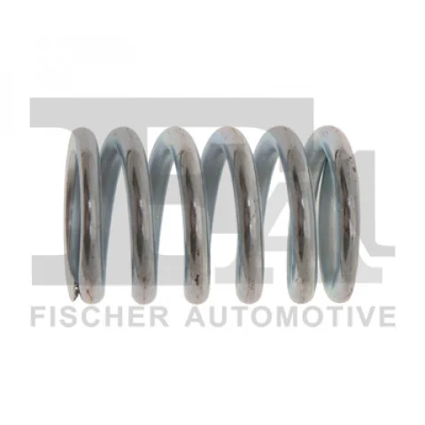 image 2026 07 20 161136774 Spring, silencer FA1 795-902