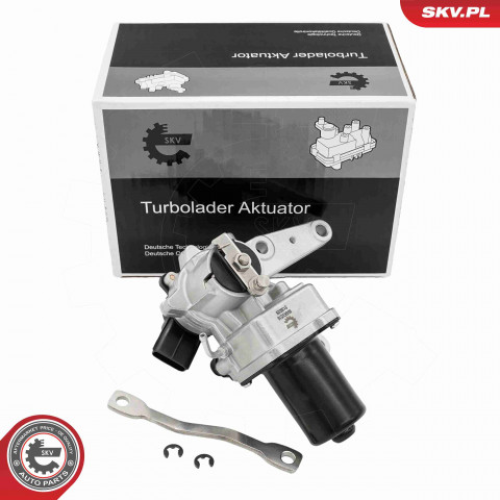 Boost Pressure Control Valve ESEN SKV 95SKV518