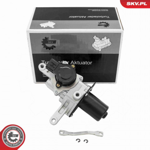Boost Pressure Control Valve ESEN SKV 95SKV465