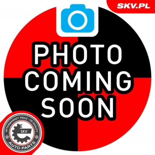 Boost Pressure Control Valve ESEN SKV 95SKV532