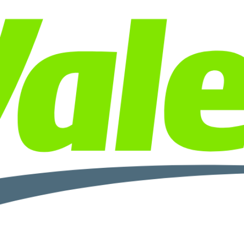 Taillight Cover VALEO 044914