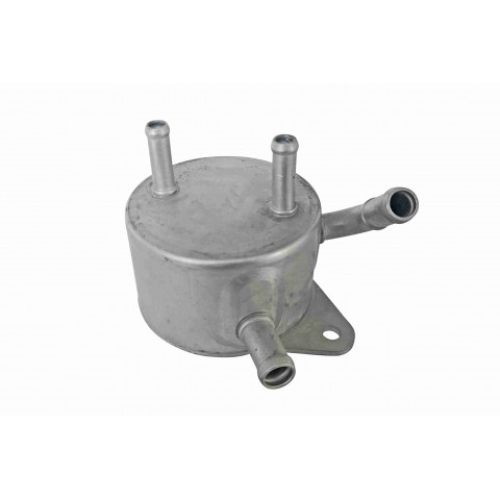 Oil Cooler, automatic transmission ACKOJA A70-60-0036
